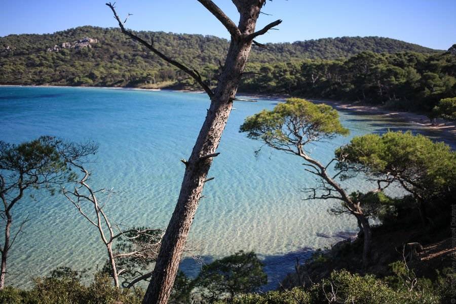 Plage Notre-Dame à Porquerolles, eau turquoise et sable fin, élue plus belle plage d'Europe