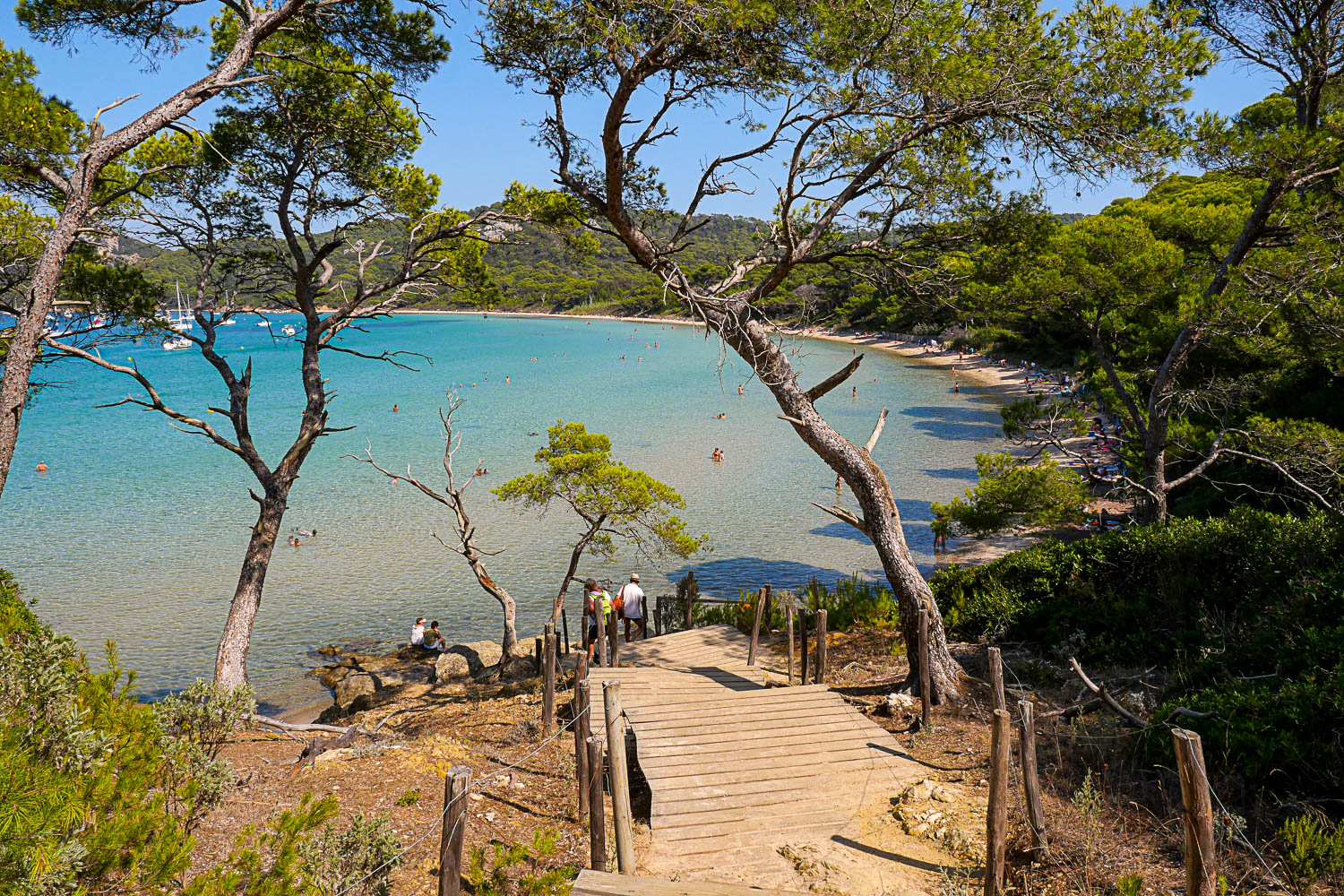 Sentier de randonnée à Porquerolles avec vue sur la mer et les pinèdes